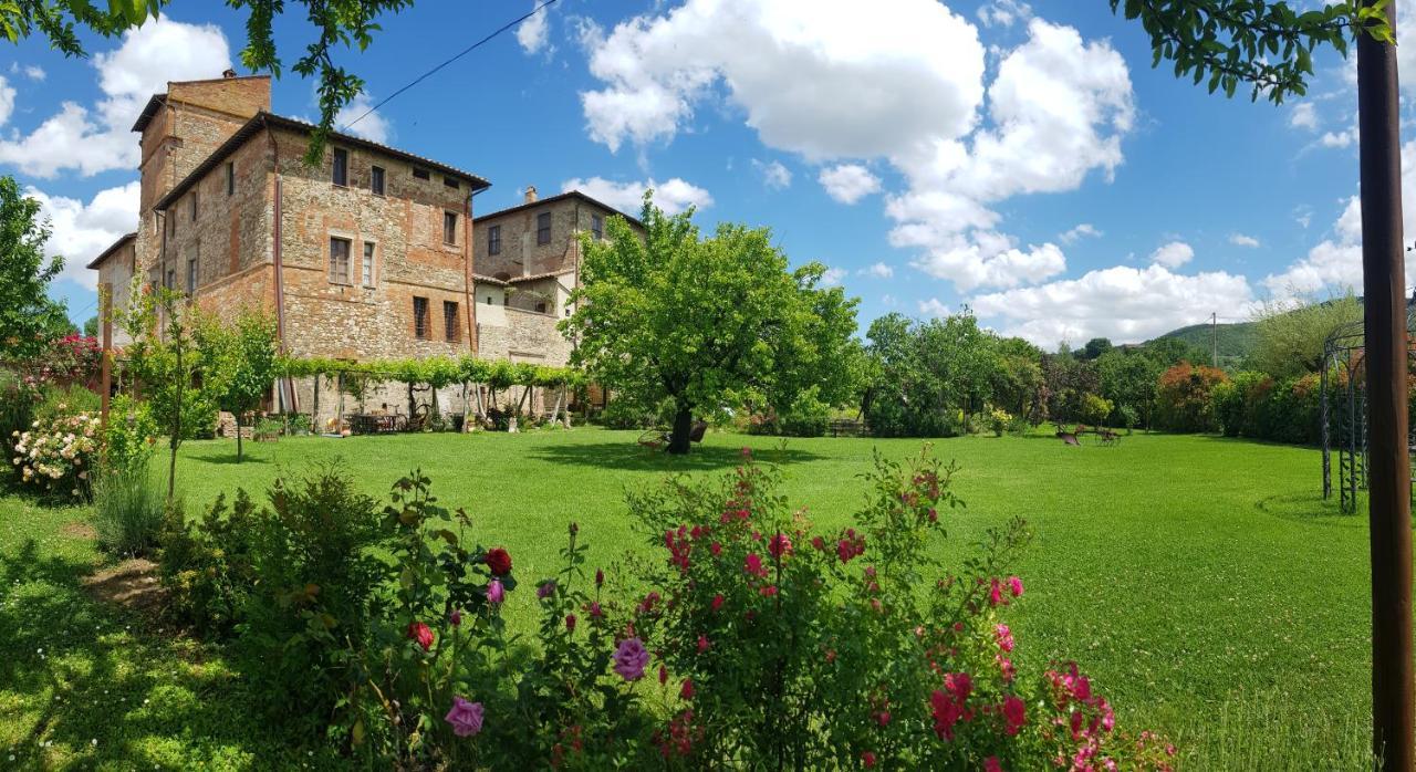 Agriturismo Abbazia Sette Frati A Casa Di Sara Pietrafitta  Экстерьер фото