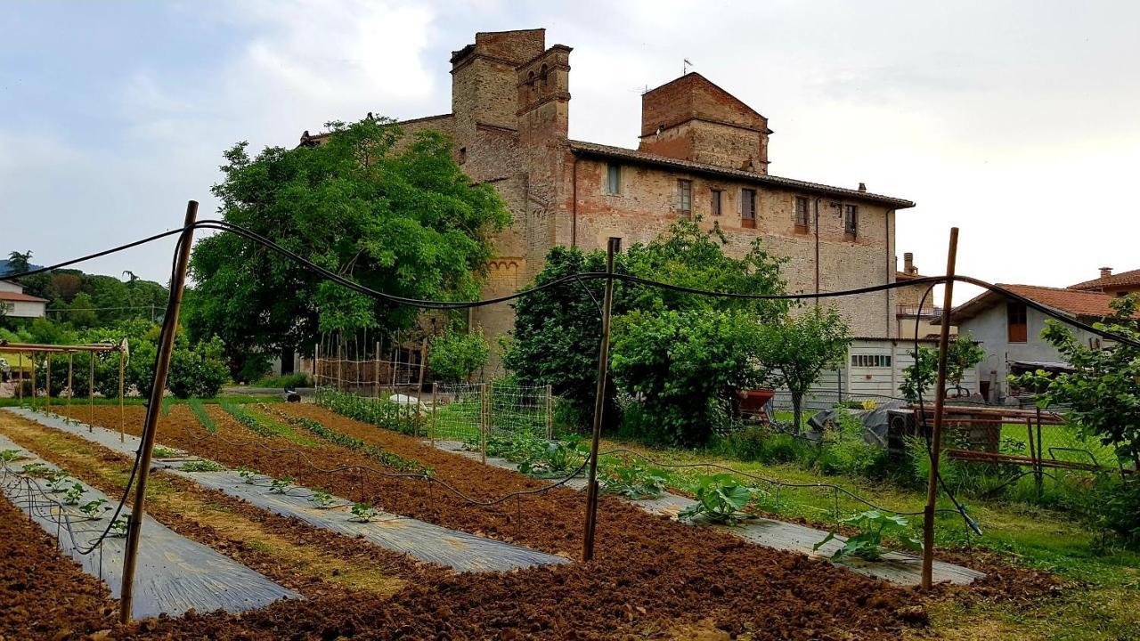 Agriturismo Abbazia Sette Frati A Casa Di Sara Pietrafitta  Экстерьер фото