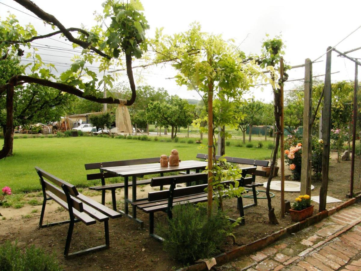 Agriturismo Abbazia Sette Frati A Casa Di Sara Pietrafitta  Экстерьер фото