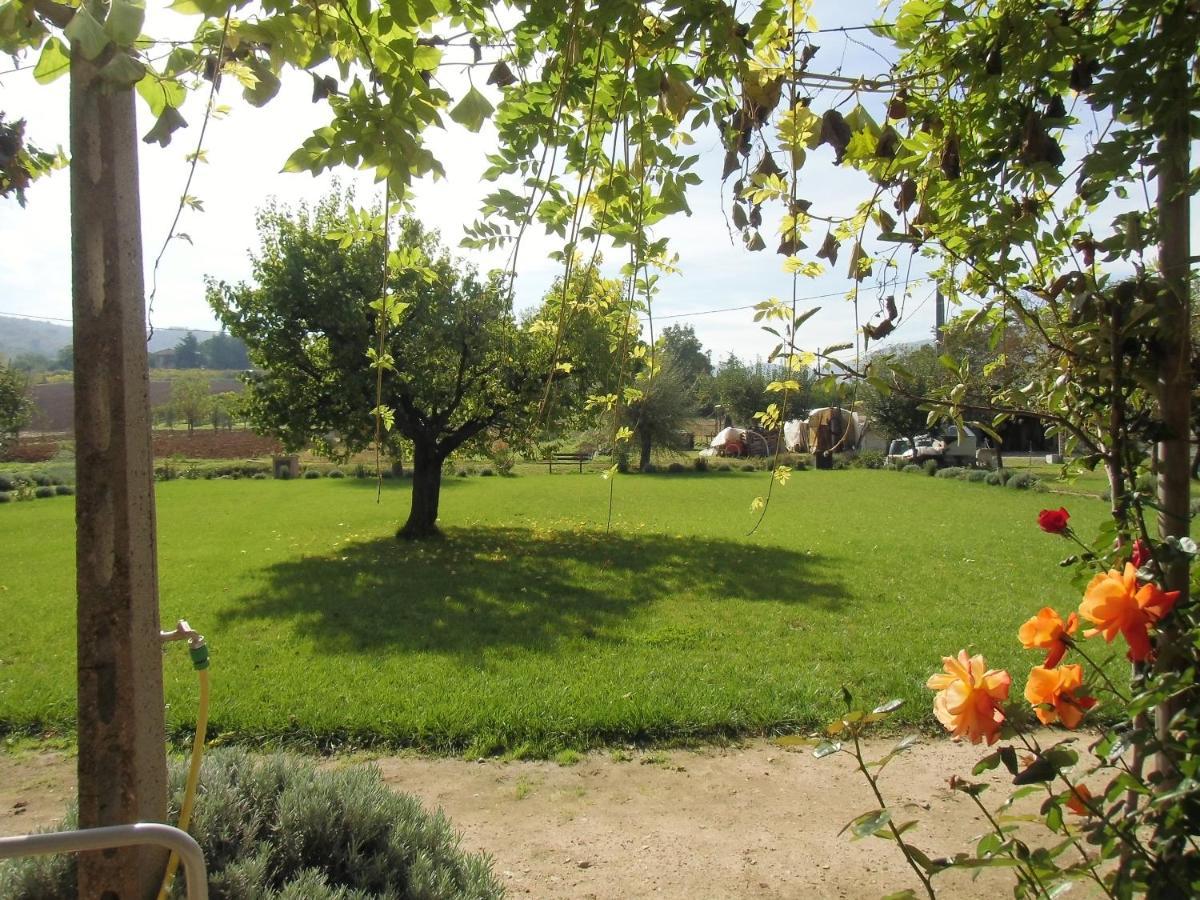 Agriturismo Abbazia Sette Frati A Casa Di Sara Pietrafitta  Экстерьер фото